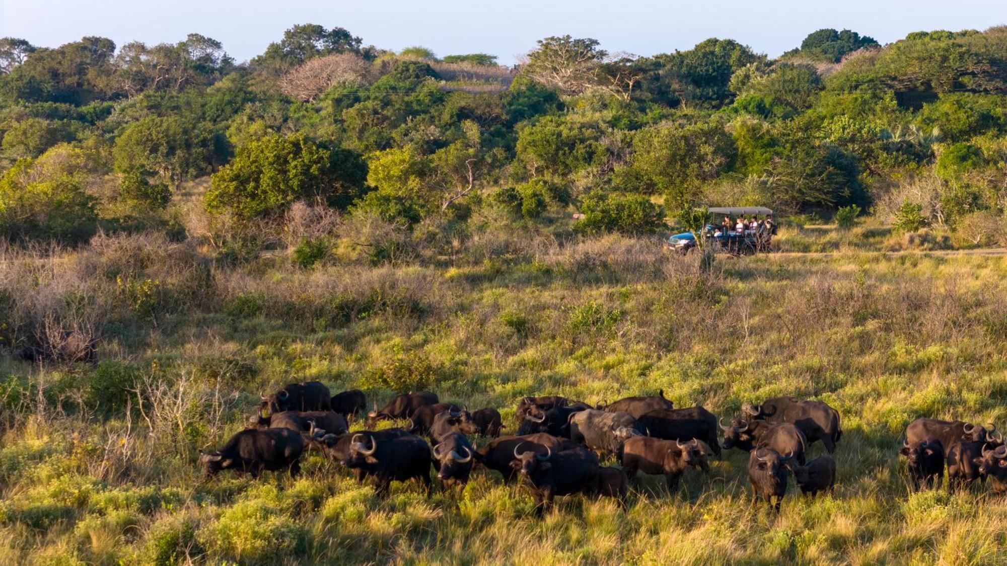 Makakatana Bay Lodge Saint Lucia Estuary المظهر الخارجي الصورة